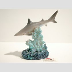 Haj P Koral Sten - 7,50cm