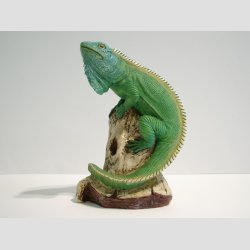 Krybdyr - Reptiler - Grn Leguan Krybende P Trstup - 20cm