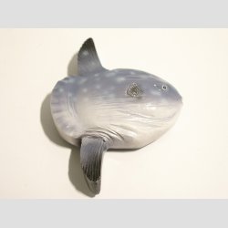 Maritime - Polystone Magneter - 6-9cm