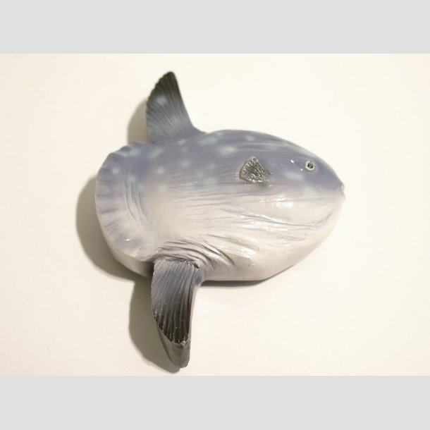 Maritime - Polystone Magneter - 6-9cm ID Magnet5