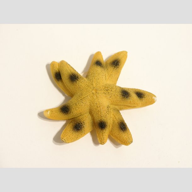 Maritim - Polystone Magneter - 7-8cm ID Magnet3