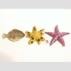 Maritim - Polystone Magneter - 7-8cm