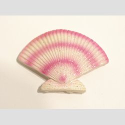 Maritime &amp; Papegje - Polystone Magneter - 7-11cm