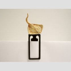 Bogmrker Med Dyrefigurer - 10-13cm