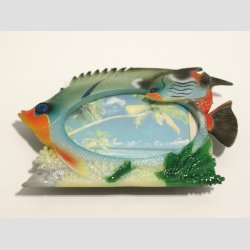 Souvenir og Kleskabs Magneter - Plast Magnet - Med Fotoramme - 6-8cm