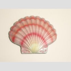 Dyrefigurer - Plast Magnet - 6-8cm