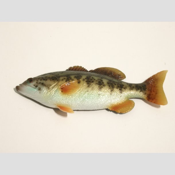 Dyrefigurer - Plast Magnet - Fisk - 6-8cm ID Magnet1