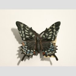 Dyrefigur - Plast Magnet - Sommerfugl - 5-6cm